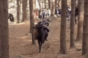 말 죽음 논란 ‘태종 이방원’ 시청률 3.2%P 하락