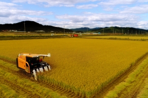 오존 오염에 동아시아 농업손실 75조원