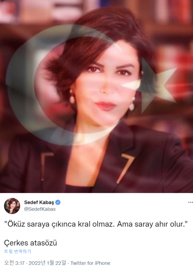 터키 언론인 세데프 카바스의 트위터 프로필 사진과 그가 22일(현지시간) 게시한 속담 인용 트윗. 세데프 카다스 트위터 캡처
