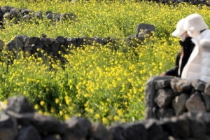 제주 1937억원 들여 ‘탄소 없는 섬’으로