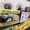 시민단체 “동물복지 정책 마련하라”