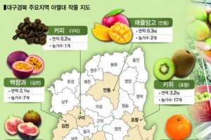 경북도, 2025년까지 아열대 작물 전문단지 19곳 조성
