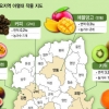 경북도, 2025년까지 아열대 작물 전문단지 19곳 조성