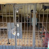 “현대판 노예 사건”…인니 군수 집 압수수색, 27명 갇혀있었다