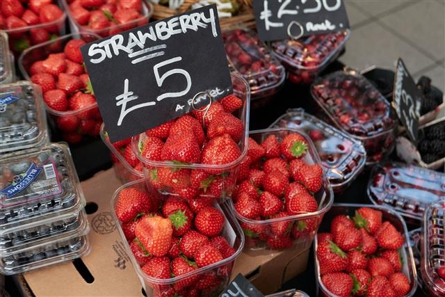 영국 런던 버로 마켓 매대에 놓인 딸기. 스트로베리로 불리는 딸기는 유럽에서 야생으로 자생하던 베리 중 하나였다.