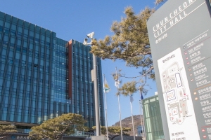 춘천시의 전 직원, 개인정보보호 배상책임보험 가입