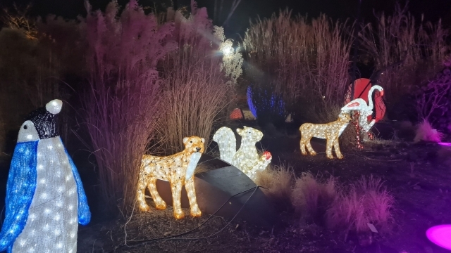 순천만국가정원 별빛산책 전경