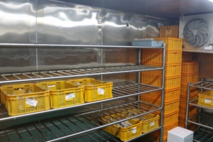 오미크론·한파…대구경북 혈액 수급 ‘빨간불’