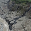에콰도르 송유관 파손, 남미 아마존 자연보호구역까지 오염