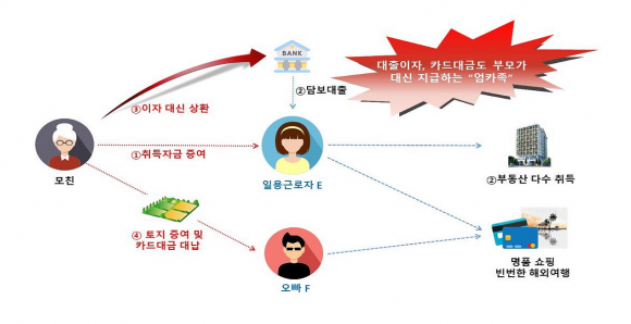 “아파트·명품 마음껏 사렴. 돈은 엄마가 다 낼게”… ‘금수저’ 227명 세무조사