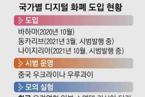 1990년대 증권거래로 전자금융 등장… 2020년 바하마 첫 ‘디지털 화폐’ 사용