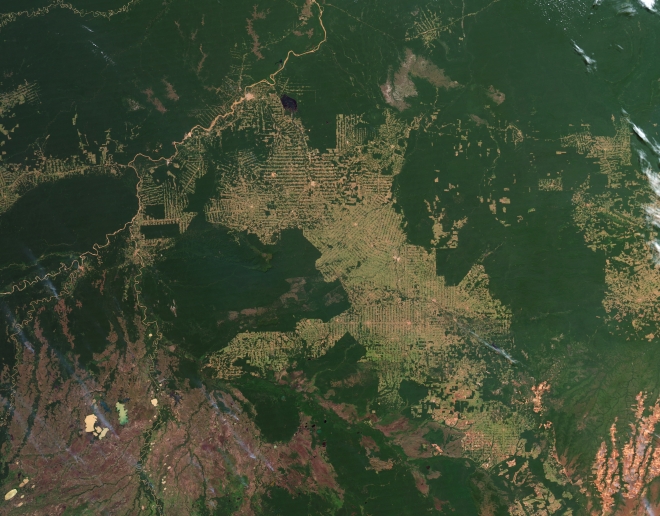 아마존지역인 브라질 론도니아주의 2012년 산림(2080만㏊)을 인공위성에서 촬영한 사진. 녹색 부분이 산림이고, 황토색 부분이 산림이 파괴된 지역으로 해마다 훼손지역이 늘고 있다. NASA, 산림청 제공 