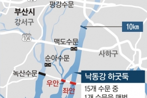 낙동강 하굿둑 35년 만에 상시 개방… 떠난 철새 돌아올까