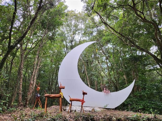 마을 주민들이 3년간 정비한 끝에 지난 11일 문을 연 제주시 한경면 청수리 산양큰엉곶 생태숲길 곳곳이 동화나라처럼 꾸며져 있다.