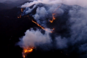 영덕군, “산불 발생은 전기적 요인…반사필름 전신주 닿아 불꽃”