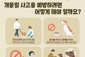 경남 개 물림 사고 이송 환자 해마다 130건 이상