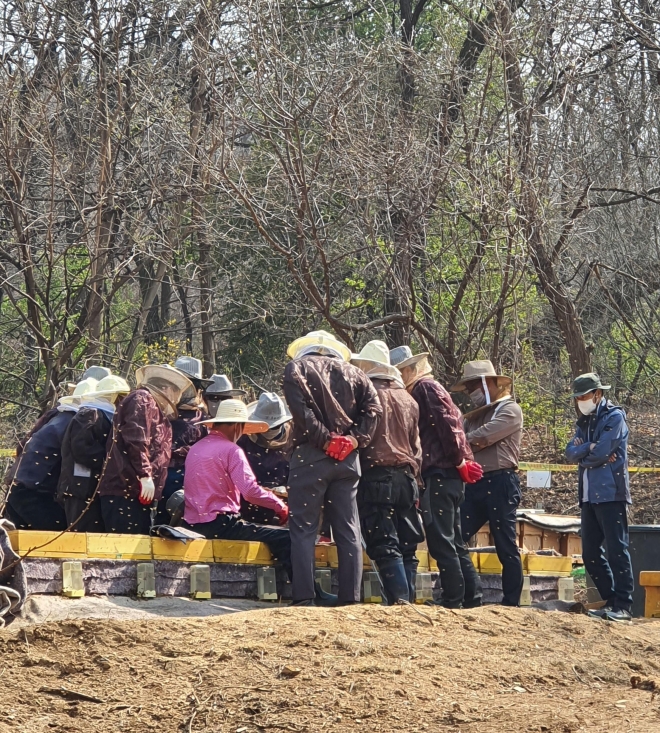 강동구 도시양봉학교 실습 모습. 강동구 제공