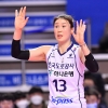 불혹의 블로커 정대영, 현대건설 조기 우승도 블로킹!