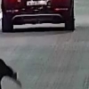 “터널 속 차 세우고 뜀박질, 오토바이족 폭주”…보령해저터널 살풍경