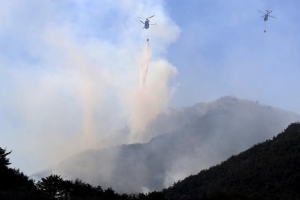 경북, 대형산불 특단 대책… 공무원 ‘지역책임제’ 운영