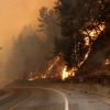 기후변화에 고약해진 ‘산불’…진화 체계·역량 강화