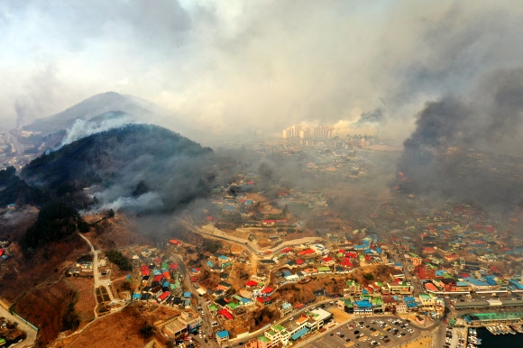 동해 산불, 묵호항 뒤덮은 연기