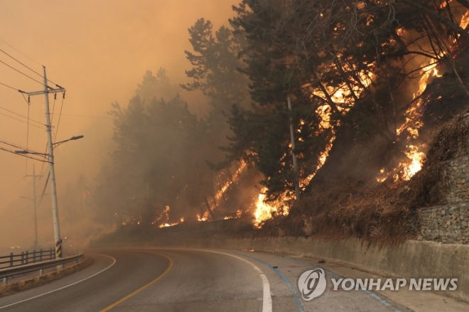 5일 경북 울진군 울진읍 온양2리 마을 주변 해안도로에 산불이 번지고 있다. 연합뉴스