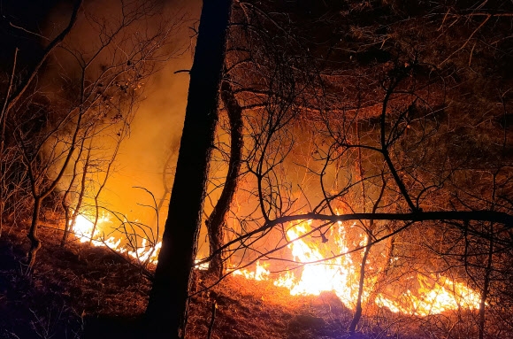 5일 저녁 강원 동해시 대진동에서 산불이 계속 확산하고 있다. 2022.3.5 연합뉴스