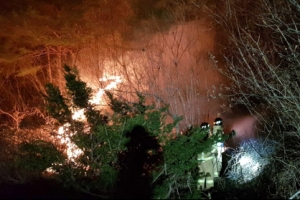 전국 6곳서 산불 진행...여의도 면적 49배 산림 피해