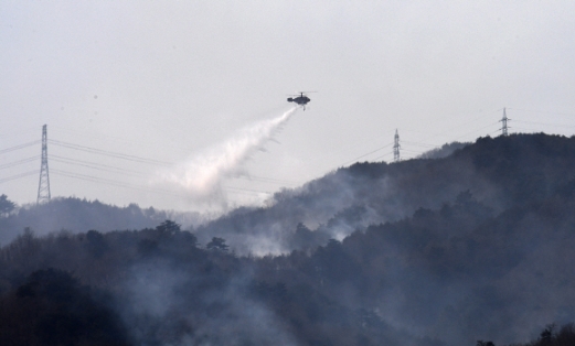 [서울포토]온 산 뒤덮은 연기
