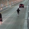 “뜀박질, 오토바이 폭주”…보령해저터널 불법행위 경찰 조사 착수