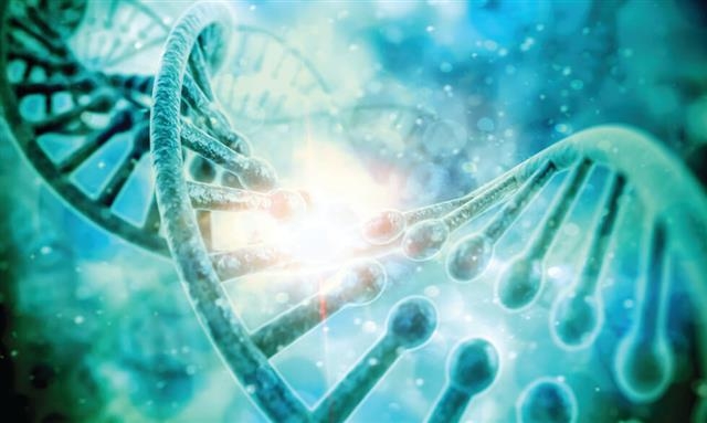 호주·영국·이스라엘 3개국 18개 연구기관이 DNA 스캔 한 번으로 50여 종류의 유전 질환을 진단할 수 있는 방법을 개발했다. 우리 인체를 구성하는 DNA 중 한 부분만 오류가 발생하더라도 희귀 유전 질환을 앓을 수 있다.  미국 국립보건원(NIH) 제공