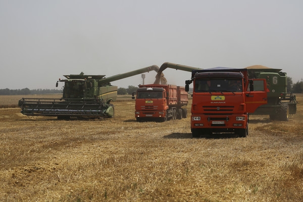 유엔식량농업기구(FAO)에 따르면 지난달 세계식량가격지수(FFPI)는 140.7를 기록했다. 사진은 우크라이나 밀 농장. 연합뉴스
