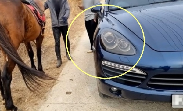 지나가던 말의 꼬리에 부딪혀 포르쉐 차량의 사이드미러가 파손되는 일이 발생했다. ‘한문철TV’ 캡처 