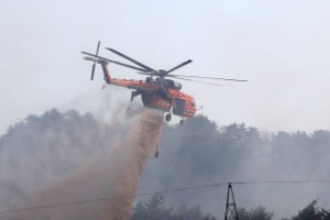 영월 산불 93시간 만에 주불진화...‘축구장 면적 112배’ 잿더미