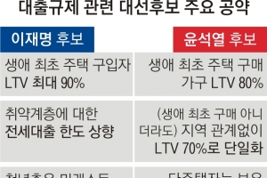 與도 野도 “가계대출 규제 완화”… LTV에 DSR·총량까지 풀까