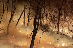 동해안 산불 엿새째인 9일, 울진 주불 진화 총력…헬기 80여대 현장 투입