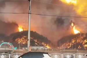 올해만 대형산불 11건…기후변화에 산불 ‘연중화·대형화’
