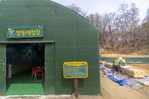 꿀 따는 달콤한 구로… 양봉 체험하실 분~