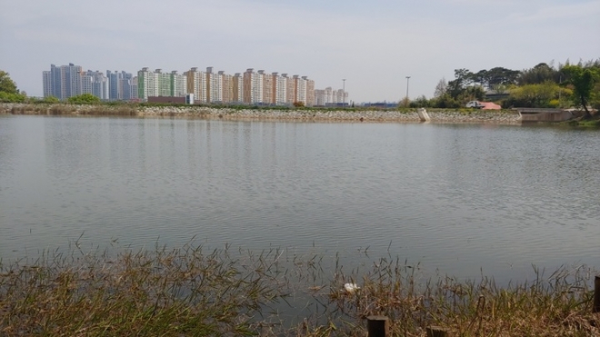 광주광역시 광산구 산정 공공주택지구 안에 있는 도심습지 ‘가야제’. 광주전남녹색연합 제공 