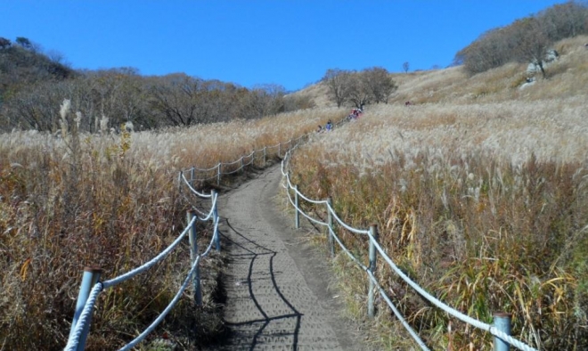 포천 명성산 억새밭 전경(포천시 제공)