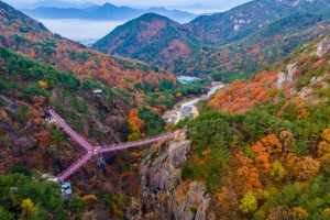 수려한 산세에 아찔한 출렁다리 명품 등산코스...거창 Y자형출렁다리, 하동 성제봉 구름다리