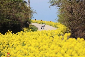 강남 스마트 둘레길부터 제주 추자도까지 떠나 봄