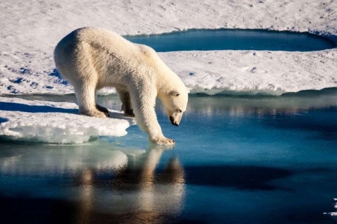 북극해의 고농도 미세플라스틱 오염 진원지 알고보니... 노르웨이 과학자들이 북극해를 오염시키고 있는 고농도 미세플라스틱의 진원지를 추적한 결과 유럽이라는 것을 확인했다. 또 미세플라스틱 오염은 최근에 생긴 것이 아니라 최소한 10년 전부터 시작된 것으로 확인됐다.