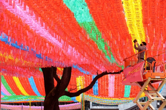 초파일 앞두고 연등 달기