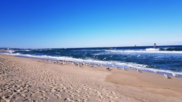 강릉 경포해변 관광 1번지 유명세 여전, 3년간 강릉 찾은 관광객 최고 선호지 | 서울신문