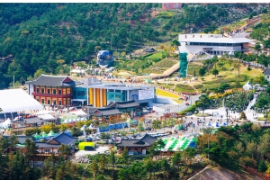 산청세계전통의약항노화엑스포 조직위 사무처장 공모...3급상당