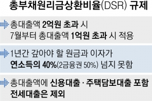 LTV 완화 외친 새 정부, 7월 ‘DSR 3단계’ 연기 가능성