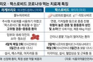 효과 낮지만 기저질환자도 복용… 머크사 ‘라게브리오’ 긴급 승인