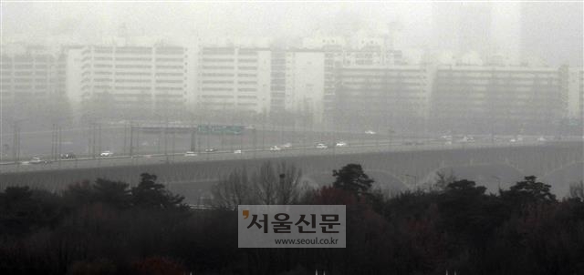 서울 강남구의 한 노후 아파트 단지 모습. 박윤슬 기자